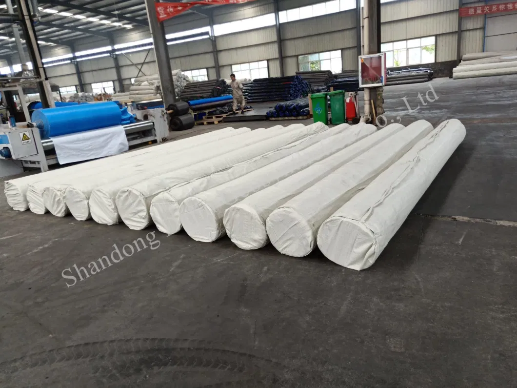 ISO CE No-Woven Water Peameable Fabric 100g Geotextile